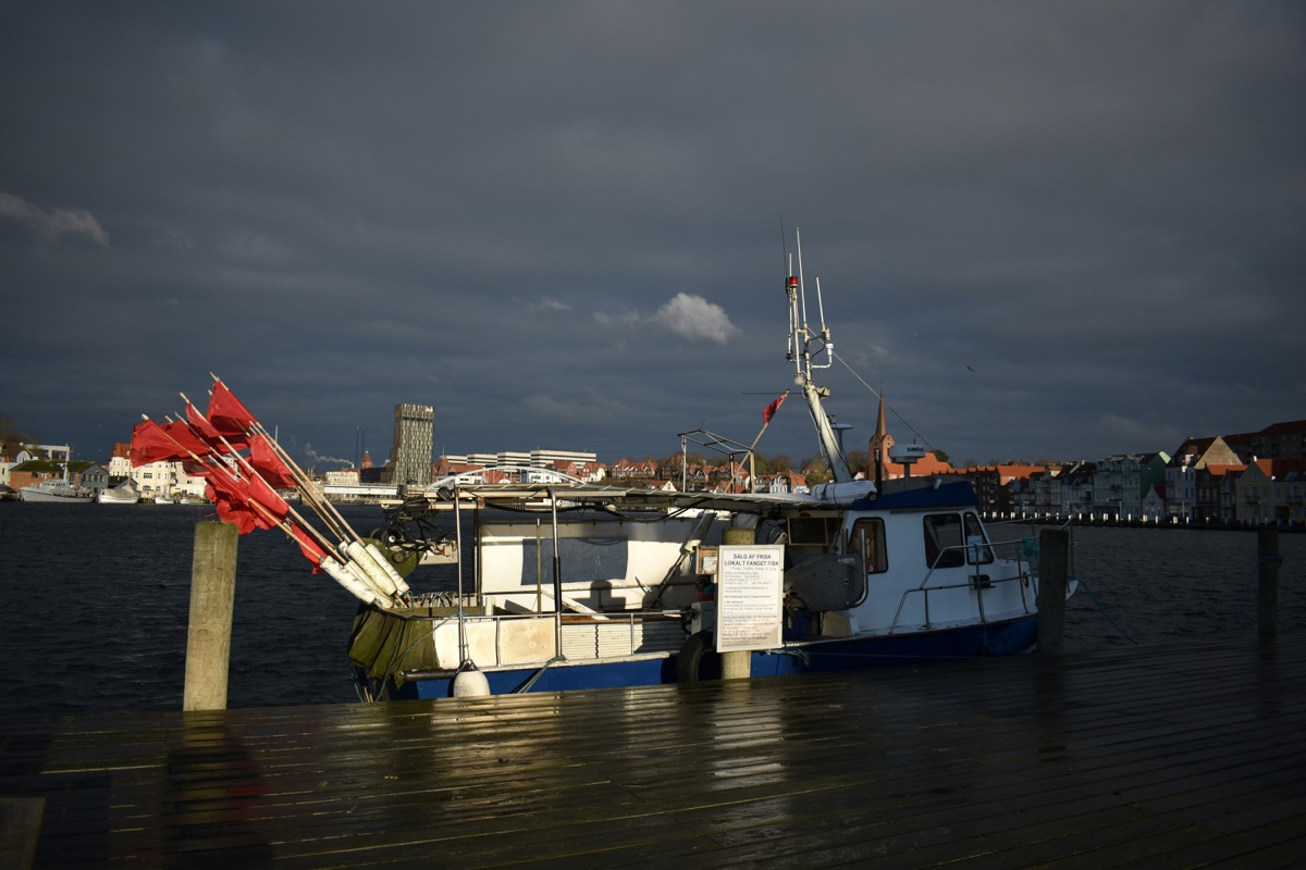 Newcastle to Amsterdam Ferry Guide ferry approaching the iconic White Cliffs on the busiest cross-Channel route